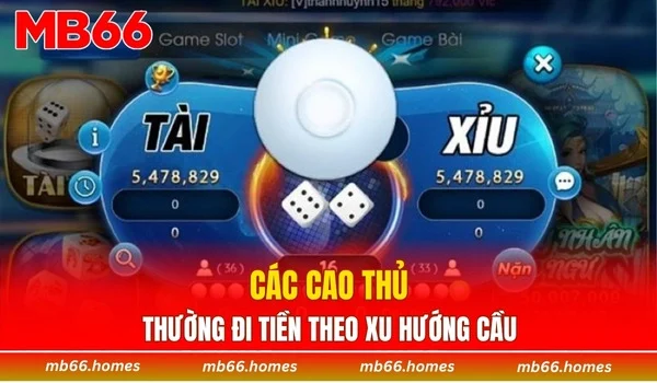 Các cao thủ thường đi tiền theo xu hướng cầu